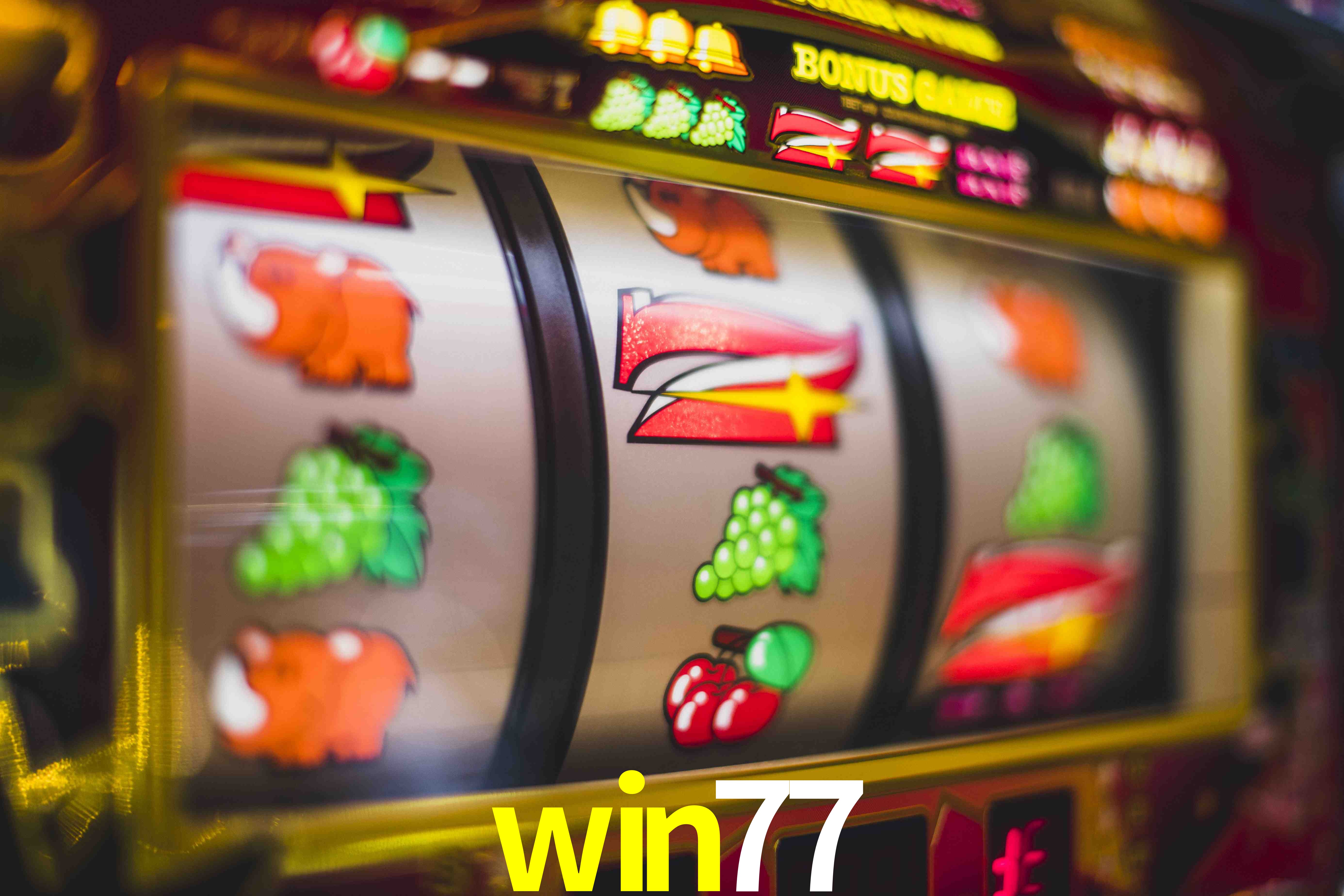 Crash Games Statistics win77